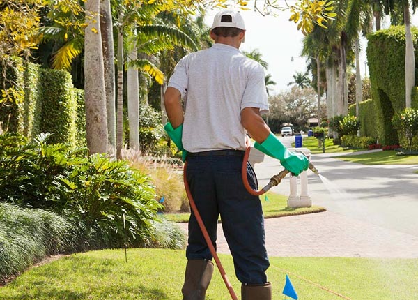 About Shakopee MN Pest Control Pros